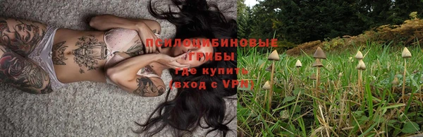молекула духа Зерноград