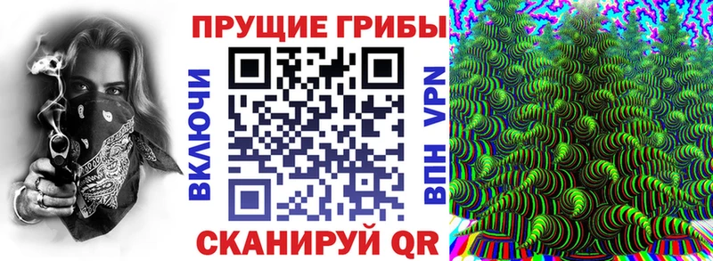 купить наркотики цена  OMG ONION  Галлюциногенные грибы Magic Shrooms  Альметьевск 